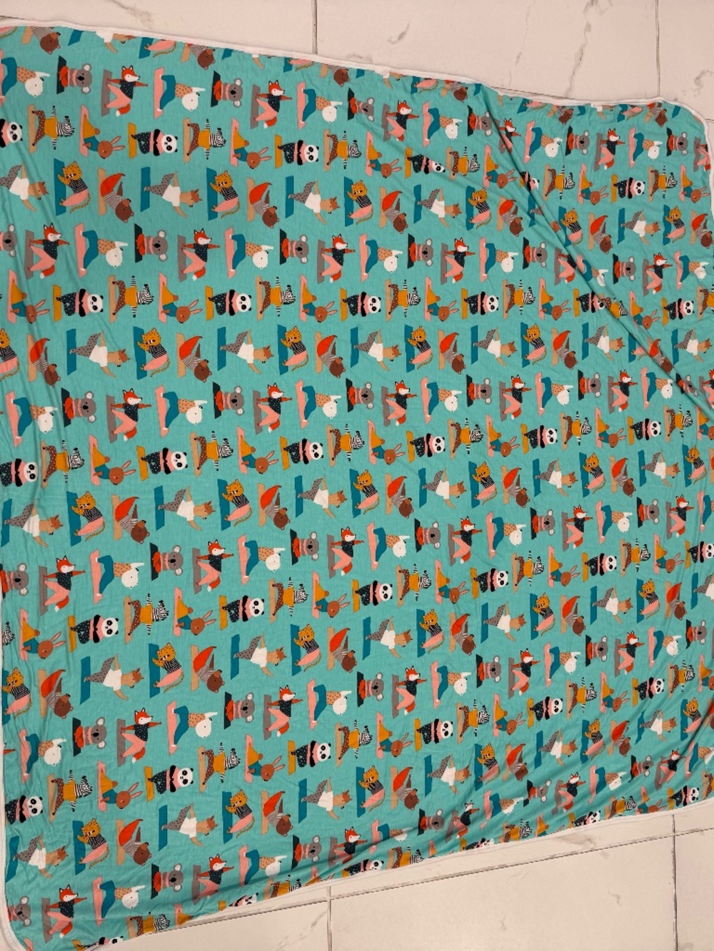 Little Sleepies Blanket